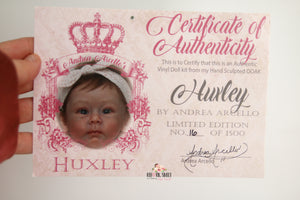 READY TO SHIP Huxley by Andrea Arcello Biracial Reborn Baby Girl - Reborn, Sweet Shaylen Maxwell