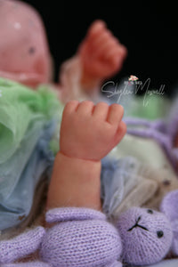 PROTOTYPE Mckinli by Lisa Stone Reborn Boy Doll - Reborn, Sweet